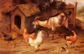 Fowl Küken und Ziegen durch einen hund Kennel Bauernhof Tiere Edgar Hunt